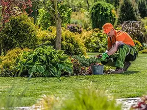 Landscape Maintenance, Thompsons Station, TN